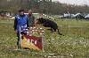  - Concours Ring d'Amboise